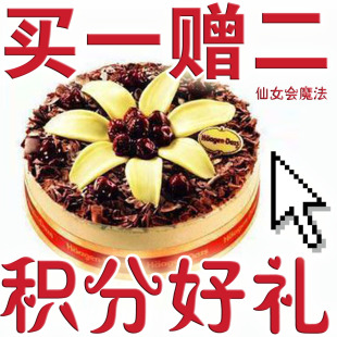  哈根达斯慕斯蛋糕 生日蛋糕 哈根达斯速递 黑森林蛋糕 哈尔滨包邮
