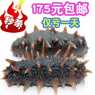  海参 极品辽参刺参 大连淡干海参 海参干货批发 特价包邮