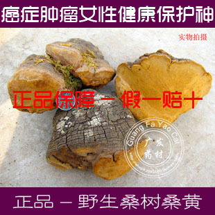  【广发药材】自采 野生灵芝 桑黄灵芝 真正桑树桑黄 特价包邮