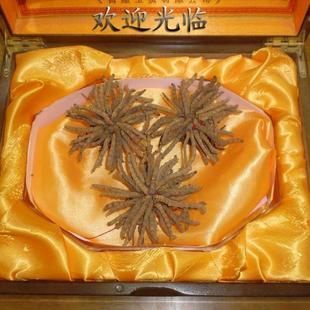  【假一罚三】正品西藏那曲冬虫夏草 30g精品包装礼盒 送礼不可少