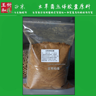  冬虫夏草菌粉 虫草原料铝箔装/100克/32元送量勺送小瓶