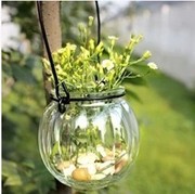 耳朵吊瓶 水培溶器 植物专用瓶子玻璃花盆阳台盆景 南瓜水栽瓶