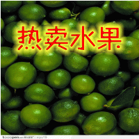  新鲜水果 越南青金桔/小青桔 制作青橘茶 新鲜到货