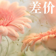 泰国代购-百分百<span class=H>好评</span>，买卖双方互补差价，卡限额之类的拍下
