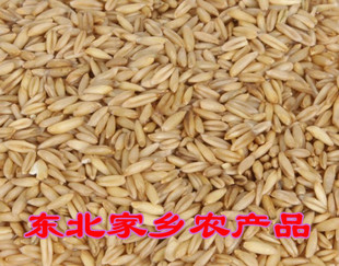  新燕麦米 东北燕麦米！燕麦仁 野麦 雀麦  五谷杂粮