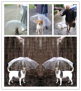 petumbrella宠物雨遛狗狗透明雨伞，宠物雨衣狗雨衣猫雨衣带狗链