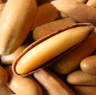  超奢华巴西松子特价 壳薄仁大坏籽极少100克进口特级坚果满88包邮