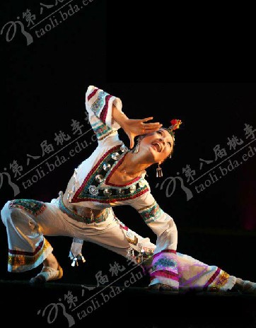 Hawthorn fruit Costume Classical dance costume/Yell the moon/Yi nationality danced clothes/Nation dance Taoliin the Women's clothing/Boutique , Costume/National costume/Stage costumes , National costume/Costumes category - from Buy2taobao.com to provide professional Taobao agent buy service