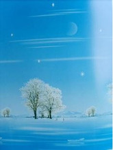 成品特价高品质 成品 彩绘 卷帘 半 遮光防水 窗帘 -*润雪