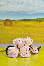 ����E����ʱ�������̷�����8������ˮ����ƬŤ�� ר����ƷS717