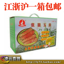 江浙沪1箱包邮大瀛紫糯玉米 2kg崇明特产 特价粗粮瘦身 新货！！