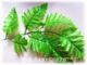 淘宝最便宜丝网花材料七片叶