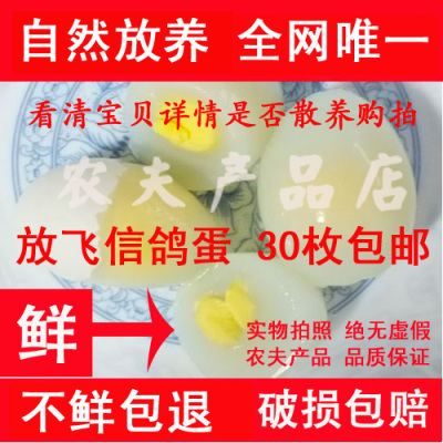 标题优化:30枚包邮 农家散养新鲜鸽子蛋 农家散养鸽子蛋 信鸽蛋 新鲜 包邮