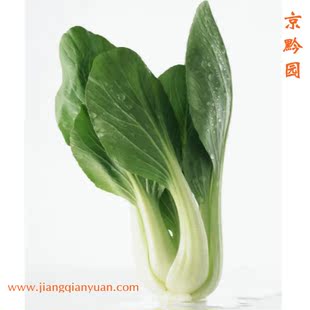 【京黔园】绿色食品优质蔬菜 上海青 油菜 北京买菜当天送到家