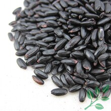 十元不限重 黑米黑香米 真空包装 精选农家杂粮 肾补粥 500g
