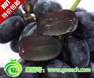  优惠新鲜水果智利进口无籽黑提 黑加仑 28块/斤（4斤江浙沪包邮）