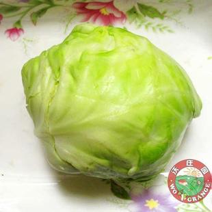  好评如潮！无公害牛心菜600克左右/颗，新鲜蔬菜今日秒杀菜市场