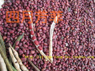  女人补血的红小豆 农家自产粗粮 纯天然红豆五谷杂粮赤小豆1斤