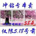 包邮特价 diy数字油画三联画 三拼初恋的地方 结婚风景客厅 大幅