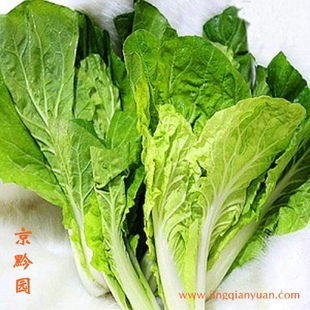  【京黔园】绿色蔬菜 快菜 北京同城买菜配送到家