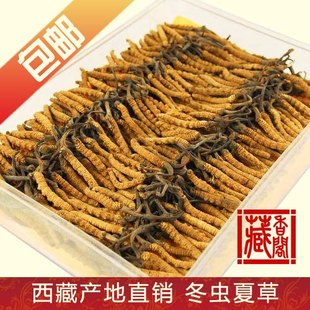  藏香阁正品 西藏产地批发12年新虫草 那曲冬虫夏草特级礼盒4条/克