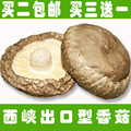 豫老翁山珍 西峡香菇干货 去根 出口型 仲景香菇酱原料买3送1包邮