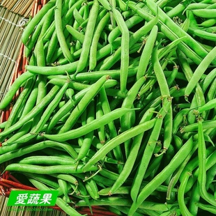  【爱蔬果】绿色食品新鲜蔬菜 四季豆 北京配送