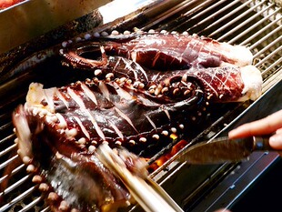  冷冻水产 包装鱼类制品 章鱼腿 八爪鱼脚 海鲜料理寿司 称重