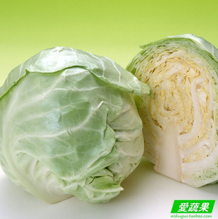 【爱蔬果】绿色新鲜蔬菜 包菜 包心菜 甘蓝北京配送 请拍2斤