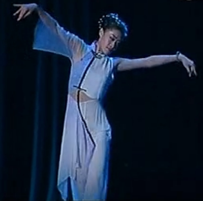 古典舞蹈服女子独舞秋忆舞台装舞蹈表演演出服