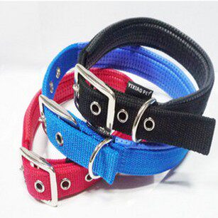 The special Fengqiang: pet collar soft lining polypropylene foam pet dog collar collar