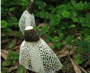 本人在长三角开个各地特色零食店。 想找各地