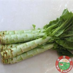  好评如潮农家香莴笋1斤左右1颗,新鲜蔬菜今日秒杀菜市场生鲜超市