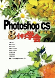 完全自学教程 PhotoshopCS 8小时学会教程 冲钻特价图片处理