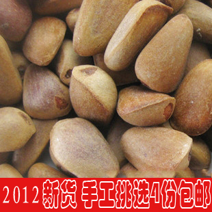  东北红松子野生松子未加工生松子新鲜松子 新货 手工挑选塔干