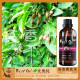 BESTOIL比奥纯水溶性植物精华安息香花水纯露