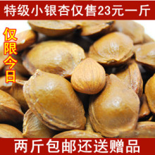 2011新货 特价秒杀 新疆特产 特级小银杏 500g装 2斤包邮