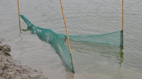 无结网1.5米青蛙蛇笼子 捕具 鱼笼拦网 虾网 插