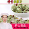 上下架计划:任意6件包邮 苹果花茶 花草茶 美白肌肤 天然无添加剂