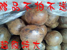 够满100个可赠送超级大果2个 不拍不送哦~！