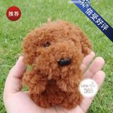 圣诞热卖！日本进口Megahouse贵宾声控茶杯犬【正版/限量独家】