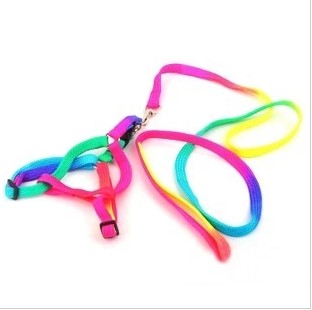 classic Colorful Thoracolumbar band Pet Leash Bunny Totoro Guinea pigs Rope leashin the Pet/Pet food and supplies , Cat/Dog Supplies , Household leashes category - from Buy2taobao.com to provide professional Taobao agent buy service