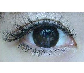 滿88包郵 ardell/GYPSY艾黛爾假睫毛93系列濃密眼尾加長款純手工在類目 彩妝/香水/美妝工具, 假睫毛中 - 來自Buy2taobao.com提供專業的淘寶代購服務