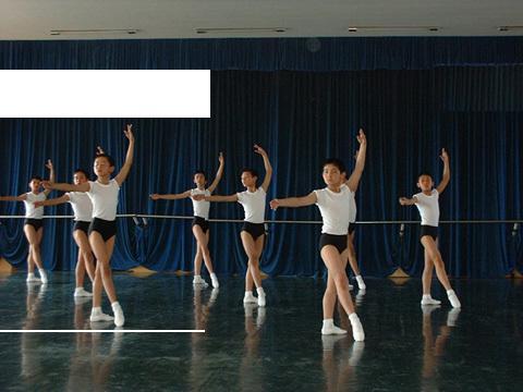 教育音像,太极操- 3 VCD,军艺舞蹈技术课考核