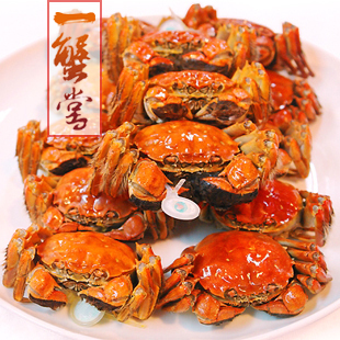  正宗 加1元多2只 阳澄湖大闸蟹 母螃蟹2.3-2.5两8只 送蟹具