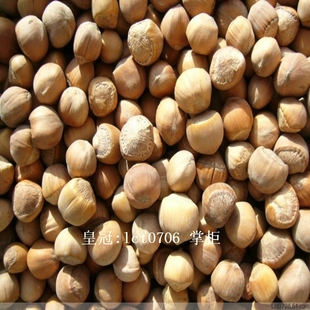  【皇冠】东北野生榛子 生山榛子原味 手工挑选 不开口特价6件包邮
