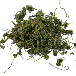 长白山人参花 人参花蕾茶