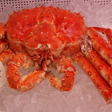 包邮阿拉斯加深海帝王蟹 整只帝王蟹 熟冻 皇帝蟹  速冻海鲜1300g