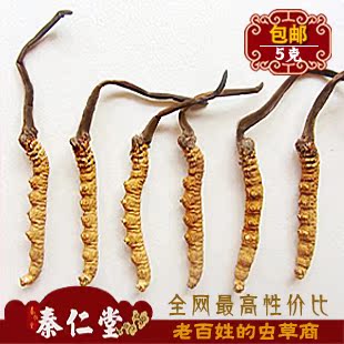  青海玉树正品冬虫夏草 6根/克 同仁堂规格 原产地批发 5克包邮