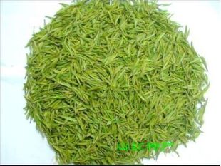  春天喝好茶  新茶叶 原产地 安吉白茶头茶 明前特级AA  罐装